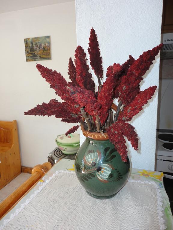 Guest House Astra Arbanasi Habitación foto
